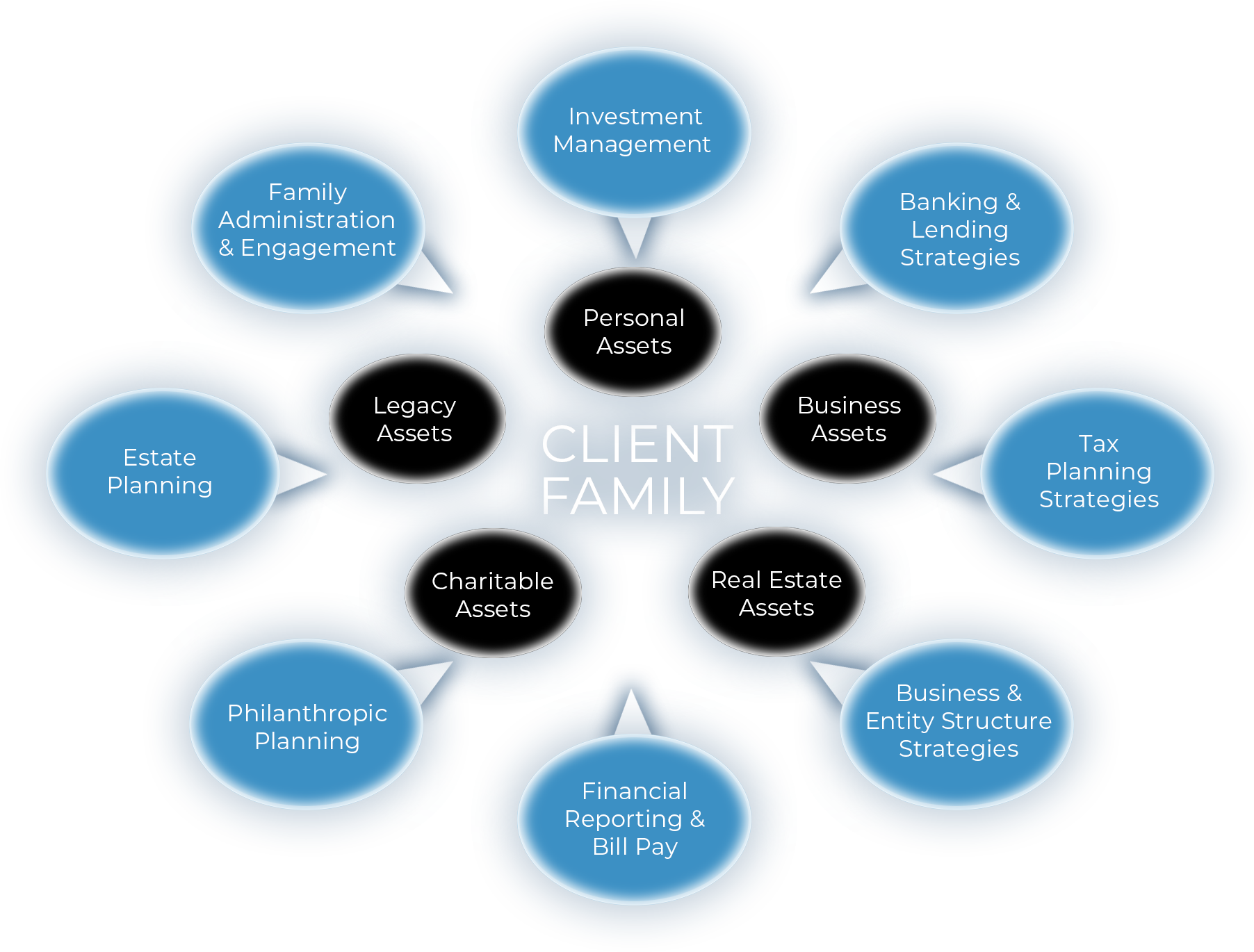 Client Family Office Services